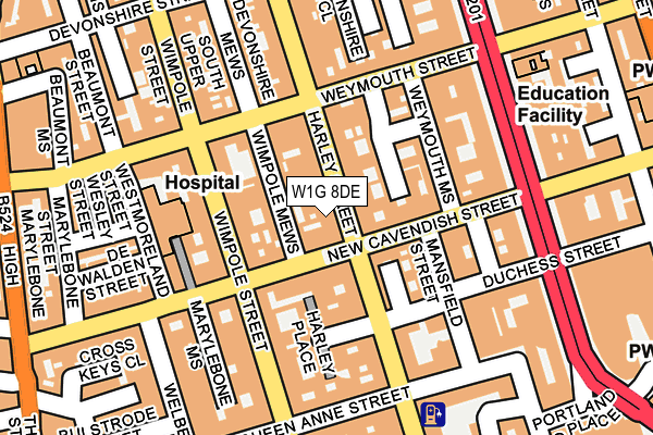 W1G 8DE map - OS OpenMap – Local (Ordnance Survey)