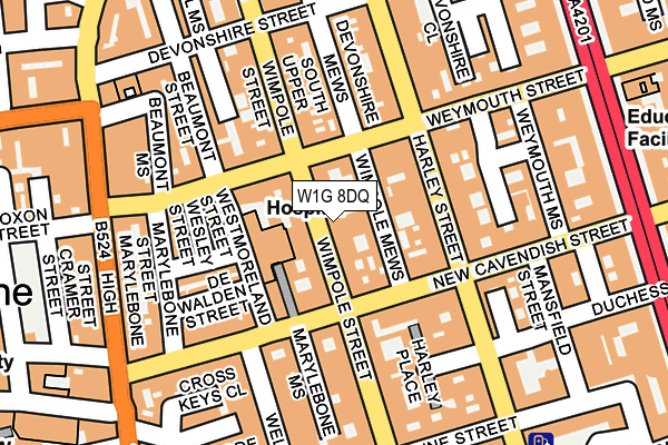 W1G 8DQ map - OS OpenMap – Local (Ordnance Survey)