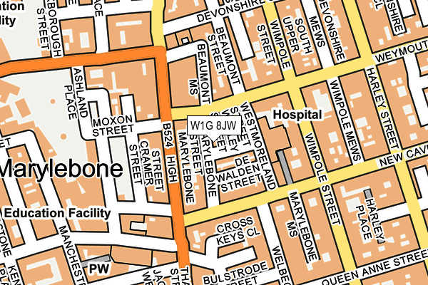W1G 8JW map - OS OpenMap – Local (Ordnance Survey)