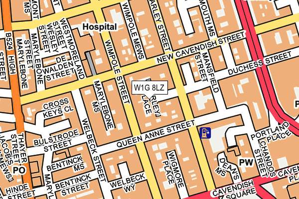 W1G 8LZ map - OS OpenMap – Local (Ordnance Survey)