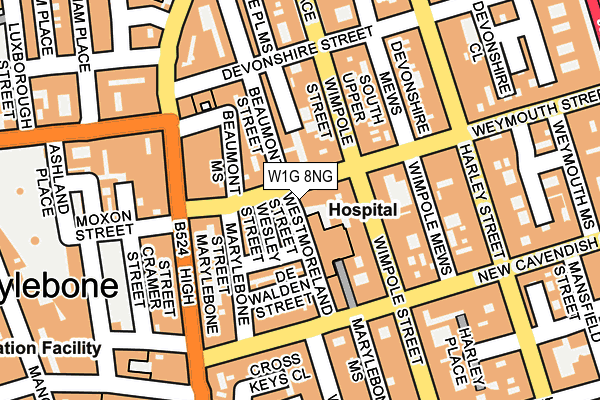 W1G 8NG map - OS OpenMap – Local (Ordnance Survey)