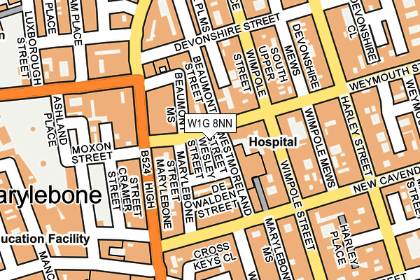 W1G 8NN map - OS OpenMap – Local (Ordnance Survey)