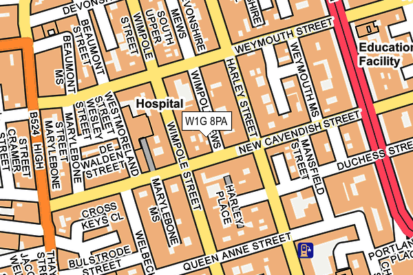 W1G 8PA map - OS OpenMap – Local (Ordnance Survey)