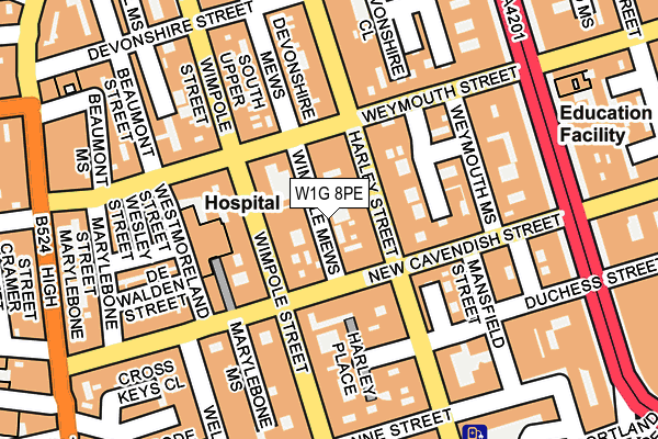 W1G 8PE map - OS OpenMap – Local (Ordnance Survey)