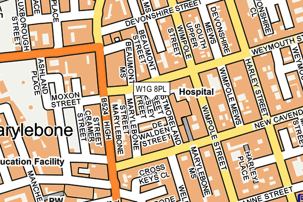 W1G 8PL map - OS OpenMap – Local (Ordnance Survey)