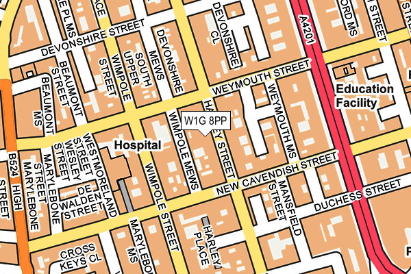 W1G 8PP map - OS OpenMap – Local (Ordnance Survey)