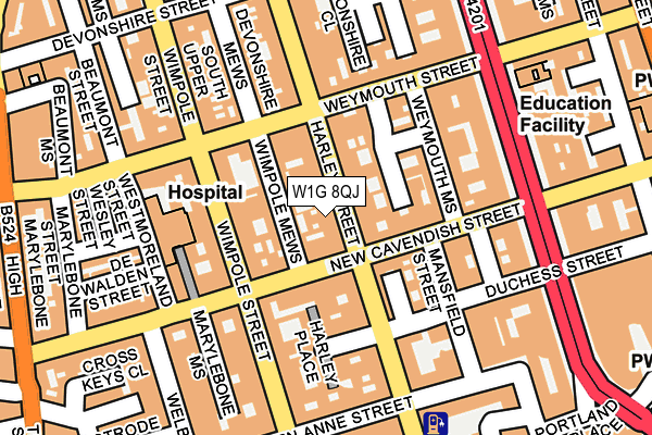 W1G 8QJ map - OS OpenMap – Local (Ordnance Survey)