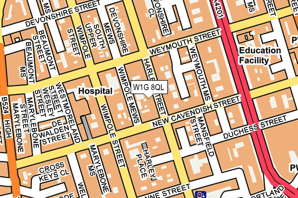 W1G 8QL map - OS OpenMap – Local (Ordnance Survey)