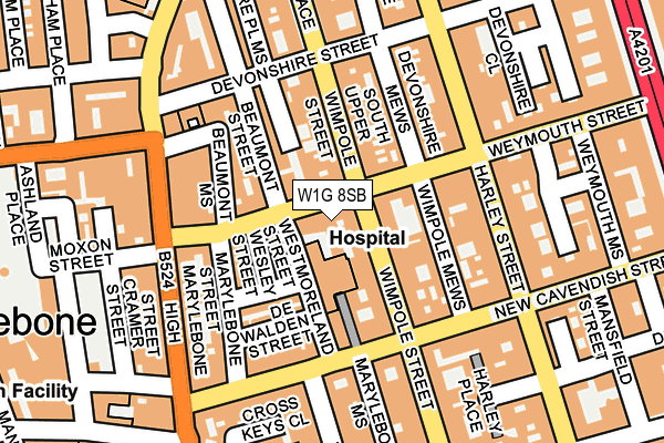 W1G 8SB map - OS OpenMap – Local (Ordnance Survey)