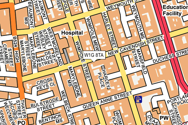W1G 8TA map - OS OpenMap – Local (Ordnance Survey)