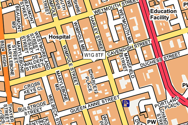 W1G 8TF map - OS OpenMap – Local (Ordnance Survey)