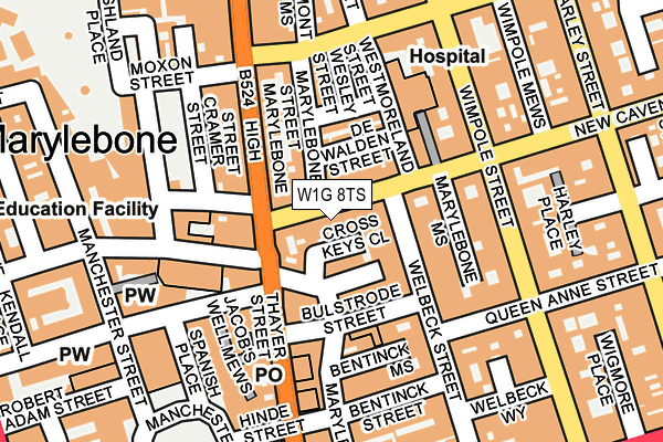 W1G 8TS map - OS OpenMap – Local (Ordnance Survey)