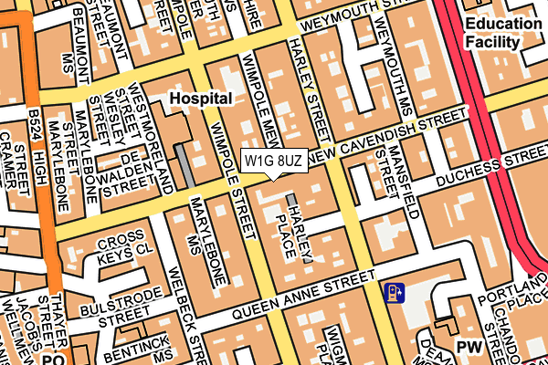 W1G 8UZ map - OS OpenMap – Local (Ordnance Survey)