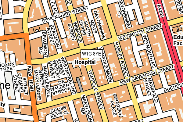 W1G 8YE map - OS OpenMap – Local (Ordnance Survey)