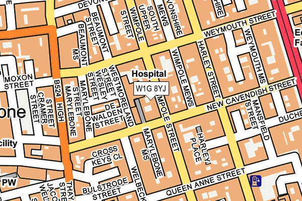 W1G 8YJ map - OS OpenMap – Local (Ordnance Survey)