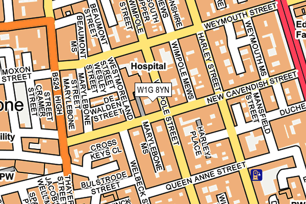W1G 8YN map - OS OpenMap – Local (Ordnance Survey)