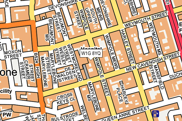 W1G 8YQ map - OS OpenMap – Local (Ordnance Survey)