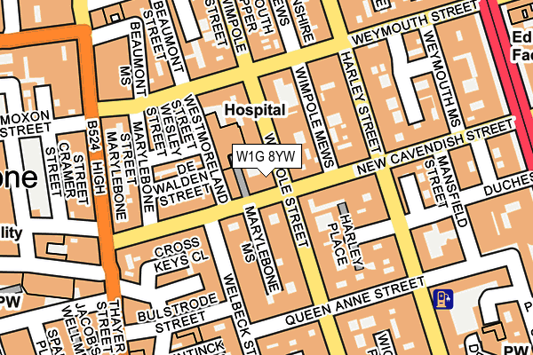 W1G 8YW map - OS OpenMap – Local (Ordnance Survey)