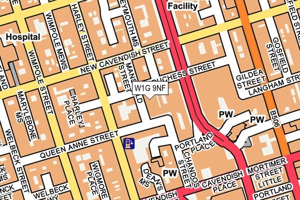 W1G 9NF map - OS OpenMap – Local (Ordnance Survey)