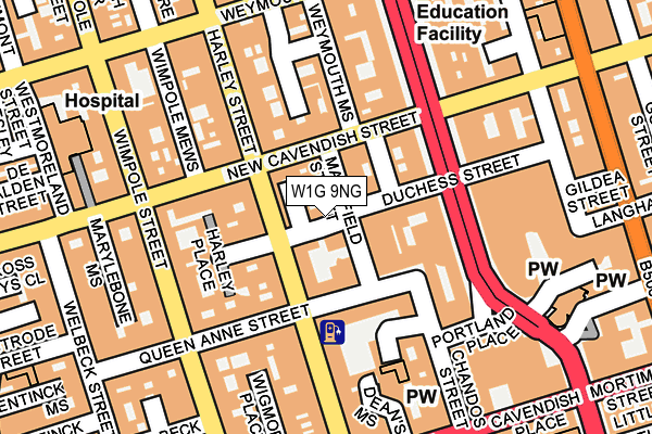 W1G 9NG map - OS OpenMap – Local (Ordnance Survey)