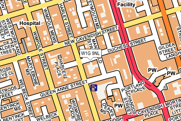 W1G 9NL map - OS OpenMap – Local (Ordnance Survey)