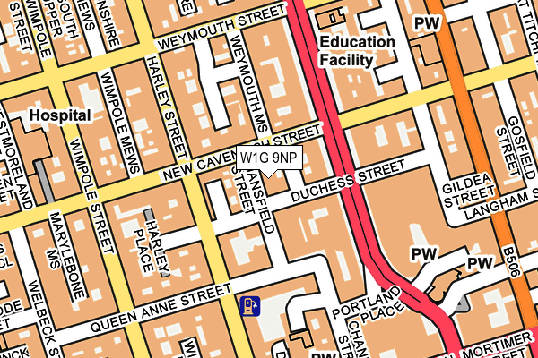 W1G 9NP map - OS OpenMap – Local (Ordnance Survey)