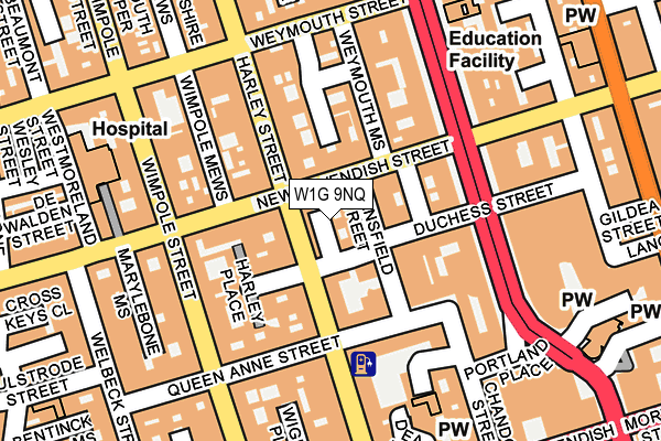 W1G 9NQ map - OS OpenMap – Local (Ordnance Survey)