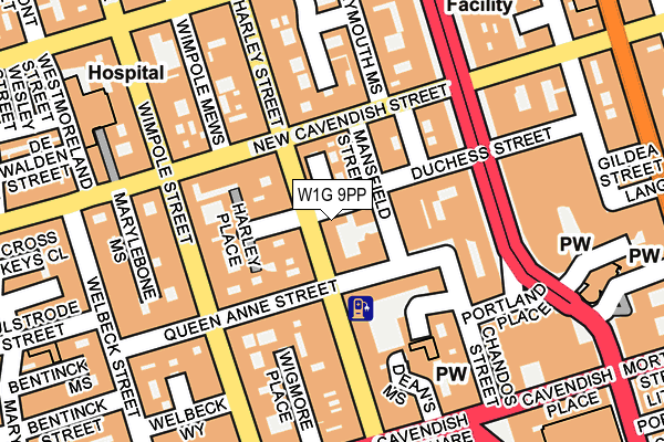W1G 9PP map - OS OpenMap – Local (Ordnance Survey)
