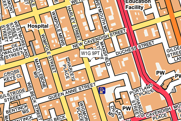 W1G 9PT map - OS OpenMap – Local (Ordnance Survey)