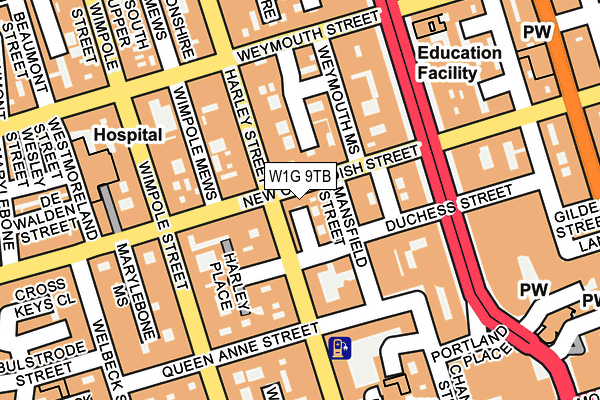 W1G 9TB map - OS OpenMap – Local (Ordnance Survey)