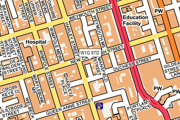 W1G 9TD map - OS OpenMap – Local (Ordnance Survey)