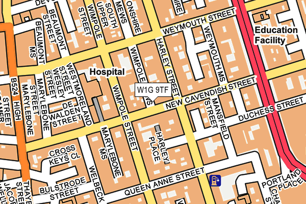 W1G 9TF map - OS OpenMap – Local (Ordnance Survey)