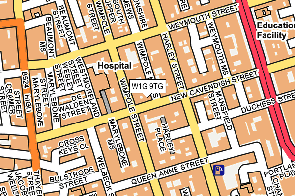 W1G 9TG map - OS OpenMap – Local (Ordnance Survey)