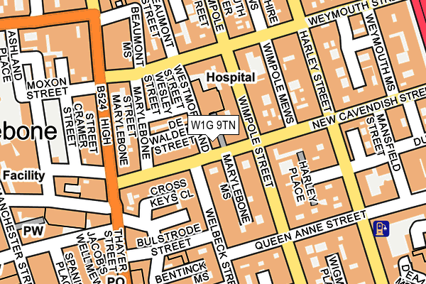 W1G 9TN map - OS OpenMap – Local (Ordnance Survey)
