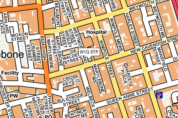W1G 9TP map - OS OpenMap – Local (Ordnance Survey)