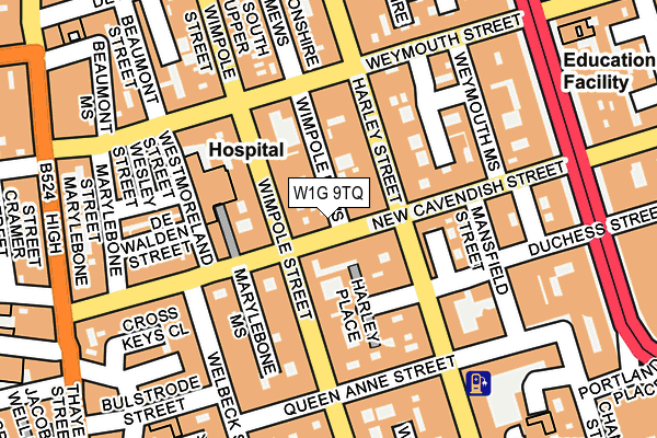 W1G 9TQ map - OS OpenMap – Local (Ordnance Survey)