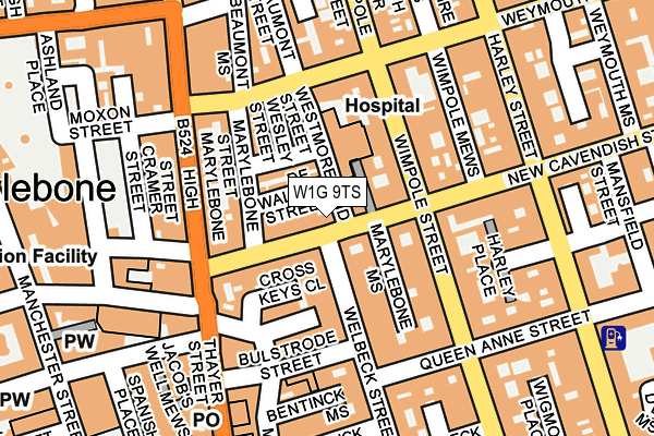 W1G 9TS map - OS OpenMap – Local (Ordnance Survey)