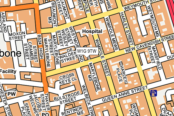 W1G 9TW map - OS OpenMap – Local (Ordnance Survey)