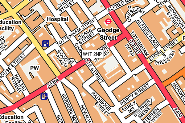W1T 2NP map - OS OpenMap – Local (Ordnance Survey)