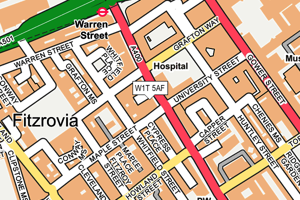W1T 5AF map - OS OpenMap – Local (Ordnance Survey)