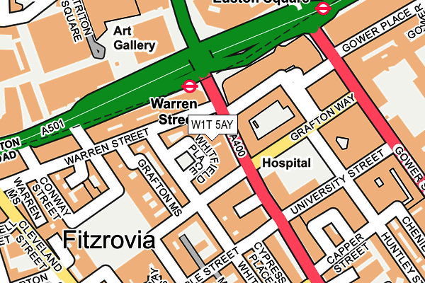 W1T 5AY map - OS OpenMap – Local (Ordnance Survey)