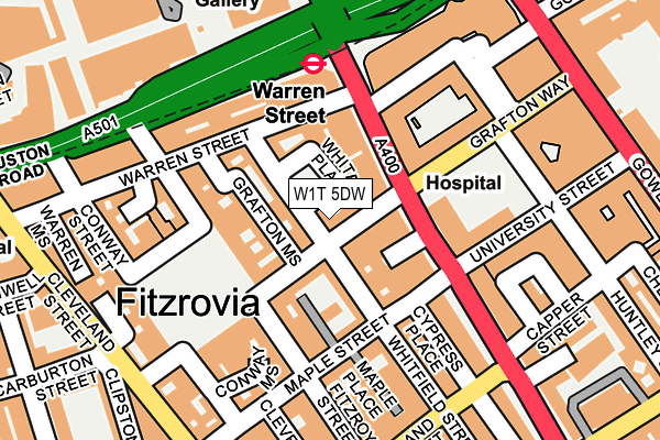 W1T 5DW map - OS OpenMap – Local (Ordnance Survey)
