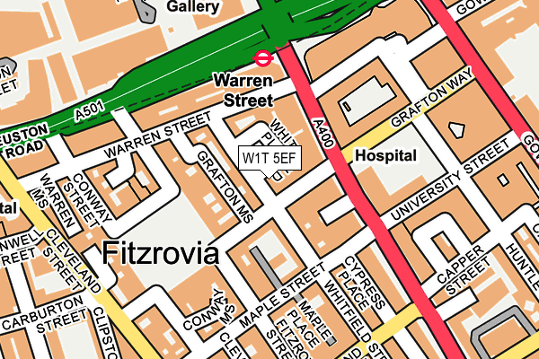 W1T 5EF map - OS OpenMap – Local (Ordnance Survey)