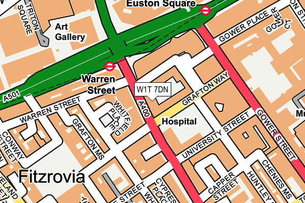 W1T 7DN map - OS OpenMap – Local (Ordnance Survey)