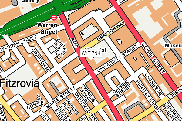 W1T 7NH map - OS OpenMap – Local (Ordnance Survey)