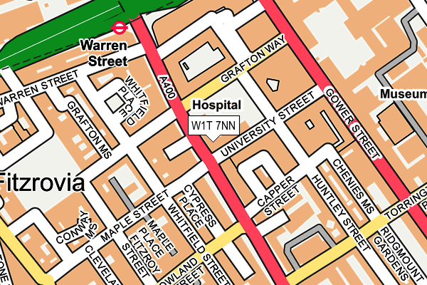 W1T 7NN map - OS OpenMap – Local (Ordnance Survey)
