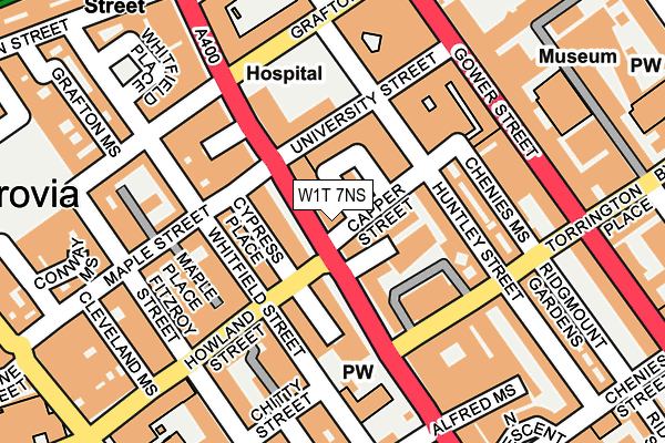 W1T 7NS map - OS OpenMap – Local (Ordnance Survey)