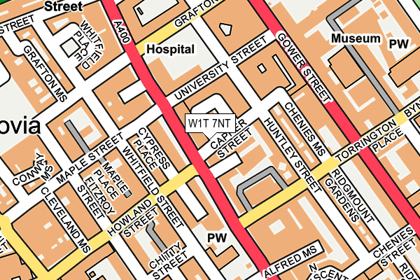 W1T 7NT map - OS OpenMap – Local (Ordnance Survey)