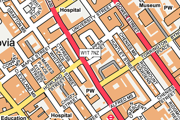 W1T 7NZ map - OS OpenMap – Local (Ordnance Survey)