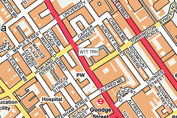W1T 7PH map - OS OpenMap – Local (Ordnance Survey)